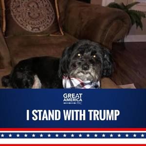 Meet your Posher, Joyce